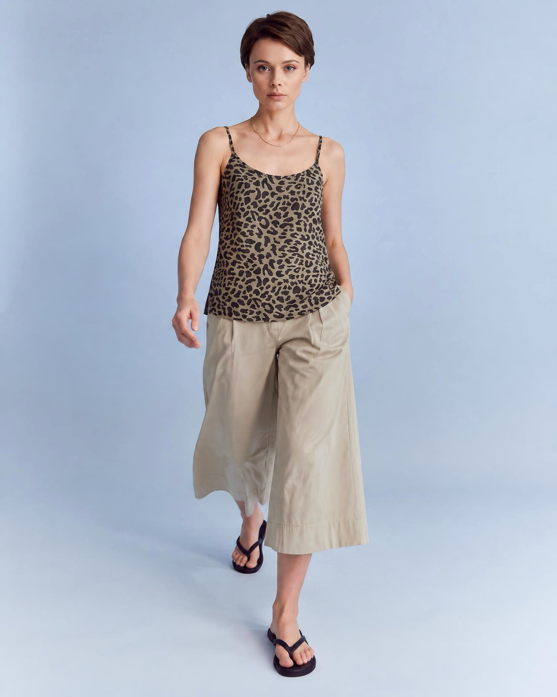 The Leopard tank