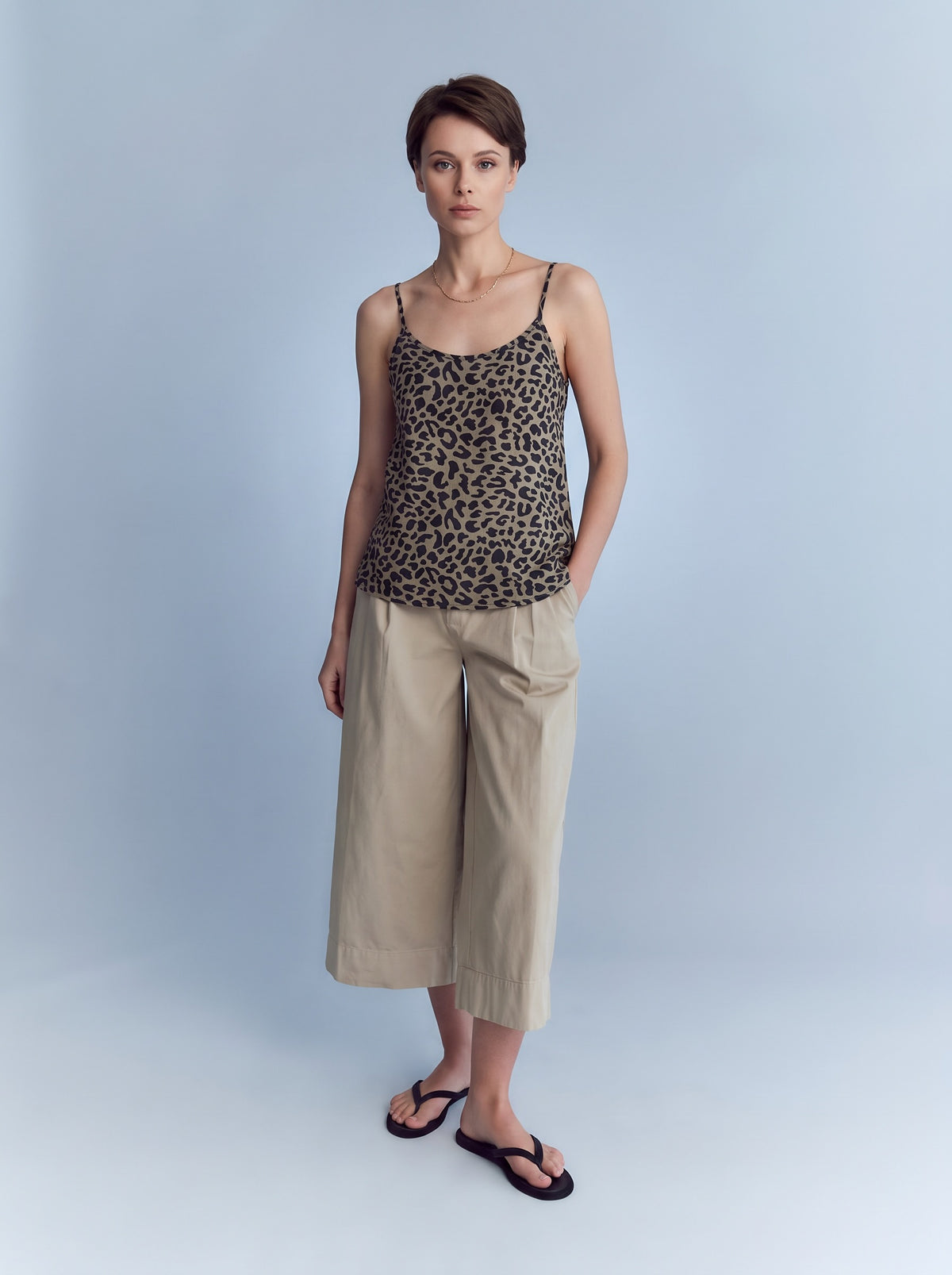 The Leopard tank