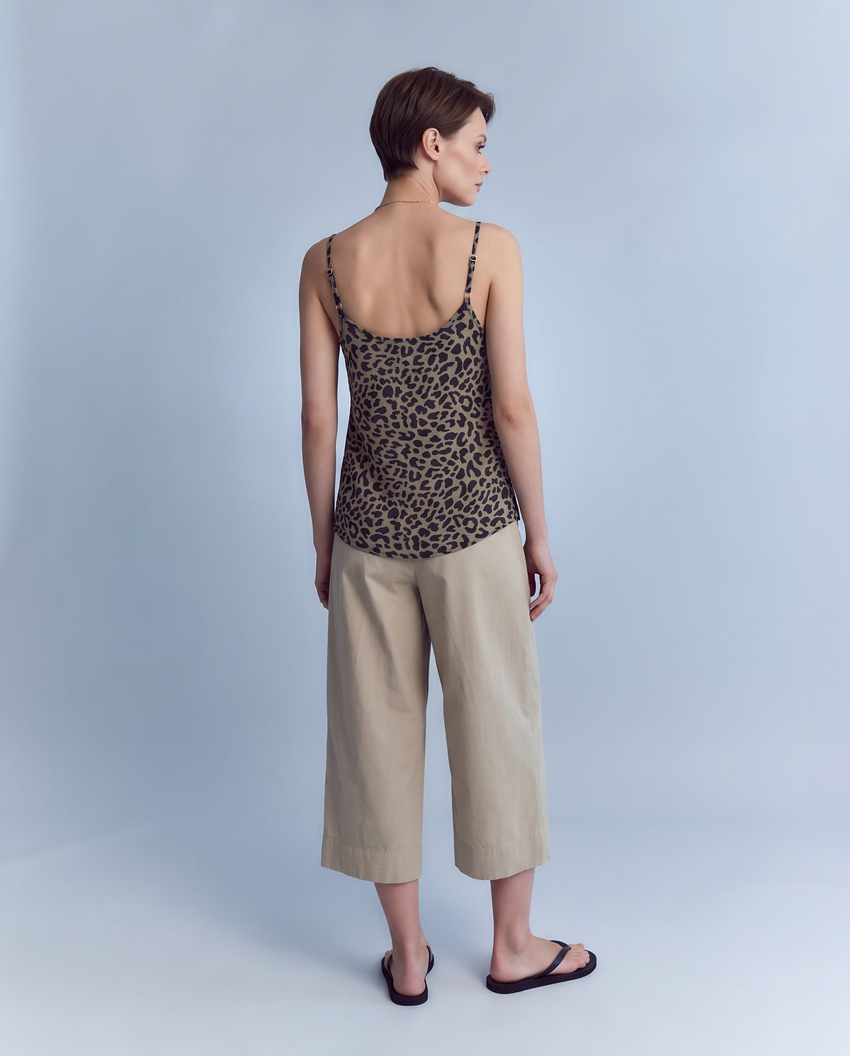 The Leopard tank